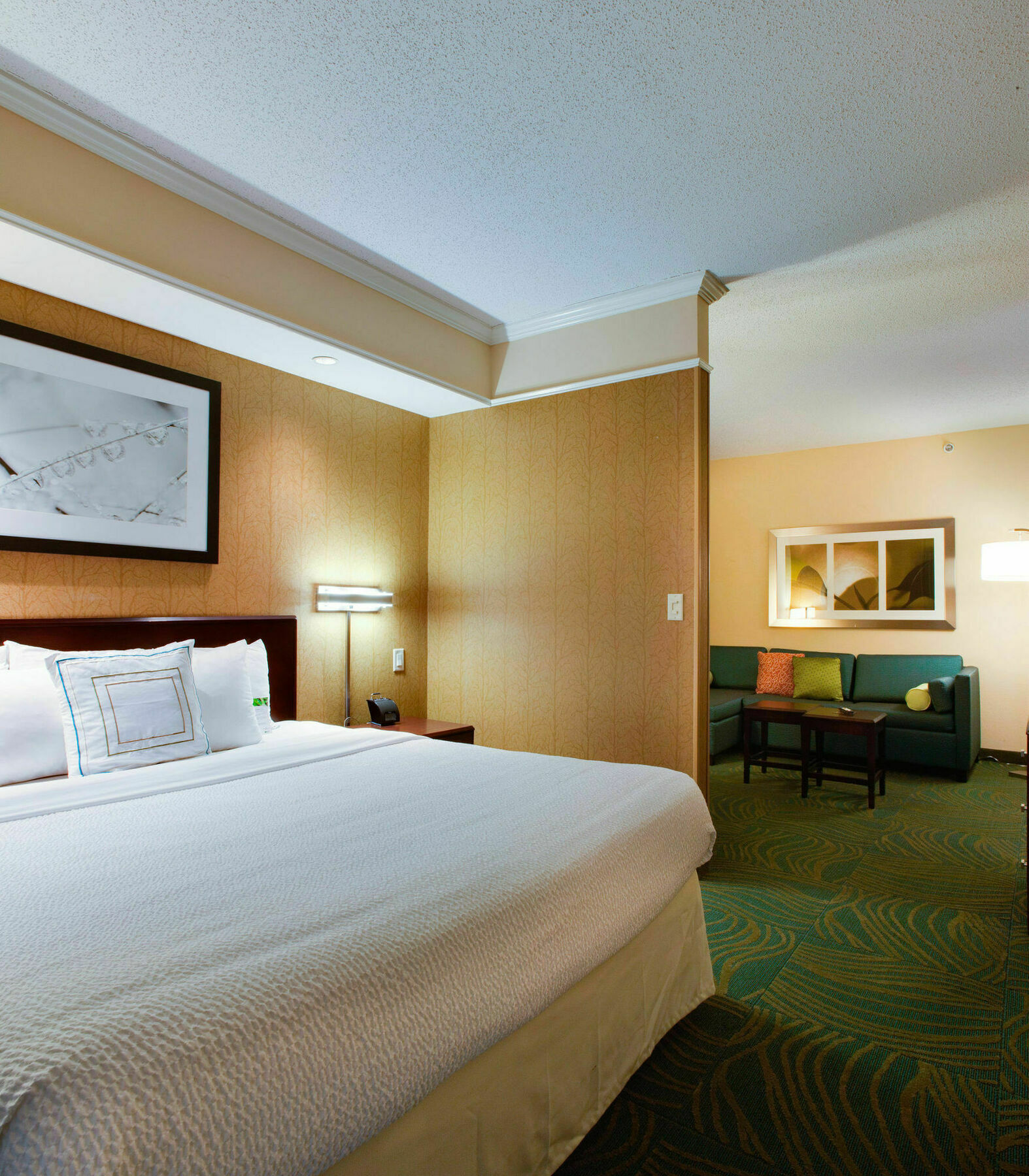 Springhill Suites By Marriott Savannah I-95 South Georgetown Exterior photo